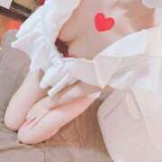 ヒメ日記 2025/06/02 16:20 投稿 こはる 石庭