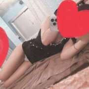 ヒメ日記 2025/06/26 07:20 投稿 こはる 石庭