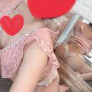 ヒメ日記 2025/07/01 10:00 投稿 こはる 石庭