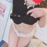 ヒメ日記 2025/07/01 16:00 投稿 こはる 石庭