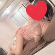 ヒメ日記 2025/07/17 09:30 投稿 こはる 石庭