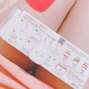 ヒメ日記 2025/07/28 06:50 投稿 こはる 石庭