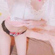 ヒメ日記 2025/08/02 07:20 投稿 こはる 石庭