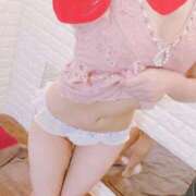 ヒメ日記 2025/10/08 07:20 投稿 こはる 石庭