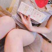 ヒメ日記 2025/10/08 07:40 投稿 こはる 石庭