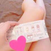 ヒメ日記 2025/10/15 08:20 投稿 こはる 石庭