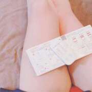 ヒメ日記 2025/12/16 08:50 投稿 こはる 石庭