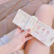 ヒメ日記 2025/12/30 09:20 投稿 こはる 石庭