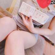 ヒメ日記 2026/01/08 07:44 投稿 こはる 石庭