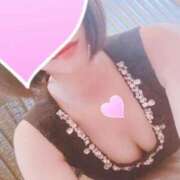 ヒメ日記 2026/02/03 11:40 投稿 こはる 石庭