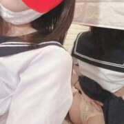 ヒメ日記 2026/06/25 11:01 投稿 こはる 石庭