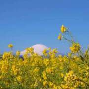 ヒメ日記 2025/03/02 11:06 投稿 麻倉ミユ ローテンブルク