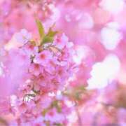 ヒメ日記 2025/03/10 11:01 投稿 麻倉ミユ ローテンブルク