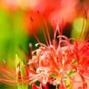 ヒメ日記 2025/09/19 11:10 投稿 麻倉ミユ ローテンブルク