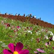 麻倉ミユ スケジュール通り ローテンブルク