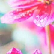 麻倉ミユ スッキリするには ローテンブルク