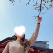 ヒメ日記 2026/01/30 10:42 投稿 麻倉ミユ ローテンブルク