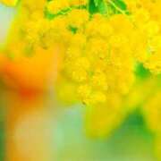 ヒメ日記 2026/02/23 14:52 投稿 麻倉ミユ ローテンブルク