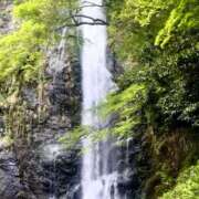 ヒメ日記 2025/07/07 12:09 投稿 美咲　ゆい ベルサイユの薔薇