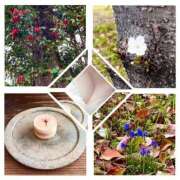 ヒメ日記 2025/07/28 17:09 投稿 美咲　ゆい ベルサイユの薔薇