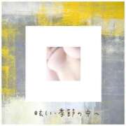 ヒメ日記 2025/08/01 17:09 投稿 美咲　ゆい ベルサイユの薔薇