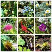 ヒメ日記 2025/09/12 12:03 投稿 美咲　ゆい ベルサイユの薔薇