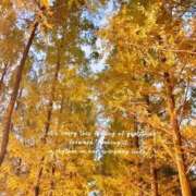 美咲　ゆい ありがとう✉️ ベルサイユの薔薇