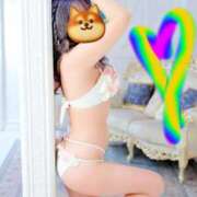 ヒメ日記 2026/01/03 09:44 投稿 せな 府中ダービー