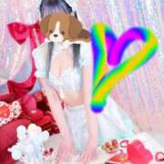 ヒメ日記 2026/03/15 17:13 投稿 せな 府中ダービー