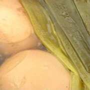 ゆり 【お礼写メ日記】 府中ダービー