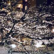 ヒメ日記 2025/03/28 10:05 投稿 ユカ Club 妻