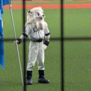 ヒメ日記 2025/06/23 19:32 投稿 みき 池袋人妻ヒットパレード（シンデレラグループ）