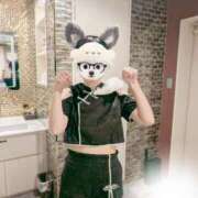 みき 今日のわんこ。 池袋人妻ヒットパレード（シンデレラグループ）