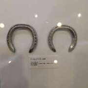 ヒメ日記 2026/02/12 22:17 投稿 みき 池袋人妻ヒットパレード（シンデレラグループ）