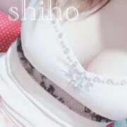 ヒメ日記 2025/05/30 17:32 投稿 二ノ宮しほ キュア＆マジック