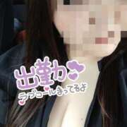 ヒメ日記 2025/04/18 13:31 投稿 まいな 大垣羽島安八ちゃんこ