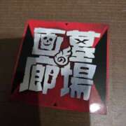 ヒメ日記 2025/03/13 00:45 投稿 イナ バイオレンス