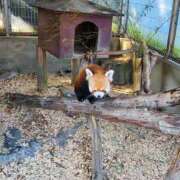 ヒメ日記 2025/03/18 12:35 投稿 イナ バイオレンス