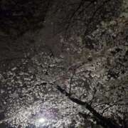 ヒメ日記 2025/03/28 02:15 投稿 イナ バイオレンス