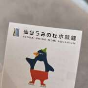 ヒメ日記 2025/04/07 13:15 投稿 イナ バイオレンス