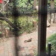 ヒメ日記 2025/04/09 11:02 投稿 イナ バイオレンス