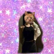 ヒメ日記 2025/04/09 11:35 投稿 イナ バイオレンス