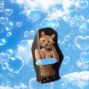 ヒメ日記 2025/04/11 11:55 投稿 イナ バイオレンス