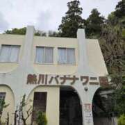 ヒメ日記 2025/04/20 13:06 投稿 イナ バイオレンス