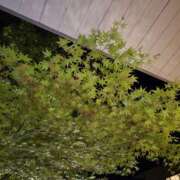 ヒメ日記 2025/04/27 14:15 投稿 イナ バイオレンス