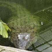 ヒメ日記 2025/04/28 16:09 投稿 イナ バイオレンス