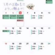 ヒメ日記 2025/05/06 16:06 投稿 イナ バイオレンス