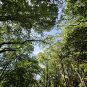 ヒメ日記 2025/05/07 15:06 投稿 イナ バイオレンス