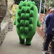 ヒメ日記 2025/05/22 15:06 投稿 イナ バイオレンス