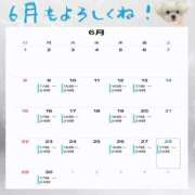 ヒメ日記 2025/05/30 00:25 投稿 イナ バイオレンス